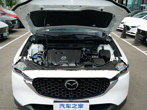 2025�� 2.0L �Զ���������Pro