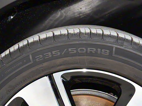 2026�� �鶯��������