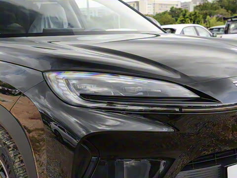 2025�� 135 �����ܼ����״��