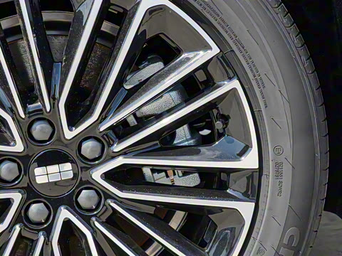 2025�� 60km EM-i ������