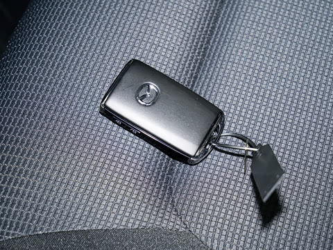 2025�� 2.0L �Զ�����������