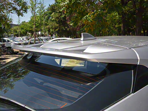 2021�� ˫�� 2.0L ������