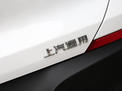 2021�� 325T �Զ����� ��VI