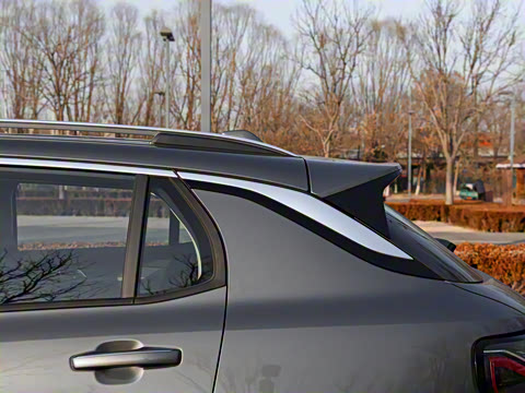 2021�� 2.0TD ������Pro