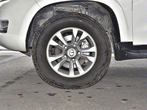 2023�� 4.6L V8 �캽��