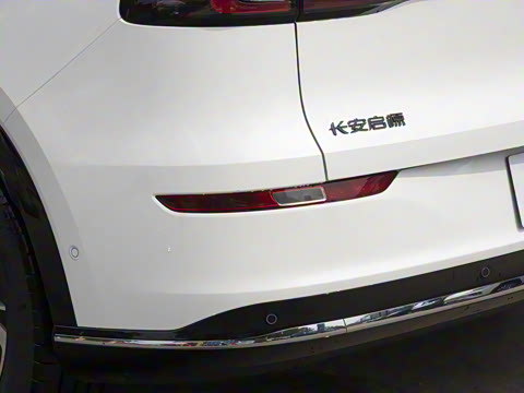 2025�� 145������