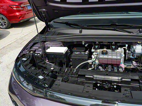 2025�� 650������