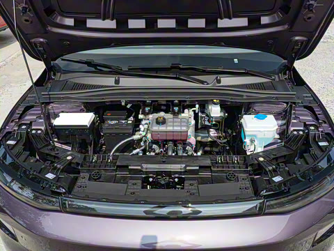 2025�� 650������