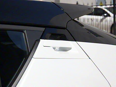 2021�� ˫�� 2.0L ������