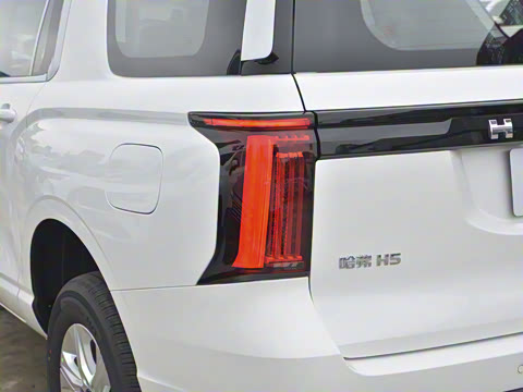 2023�� 2.0T�Զ������촴 ����