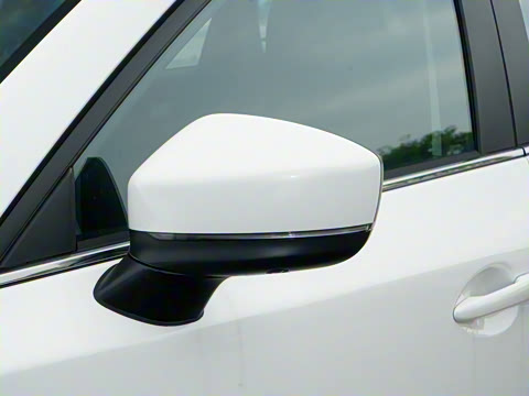 2025�� 2.0L �Զ���������Pro