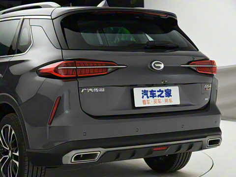 2021�� 390T �Զ����ư�