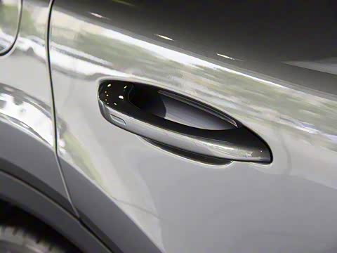 2019�� Cayenne E-Hybrid 2.0T