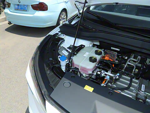 2025�� 445km ��ѡ��