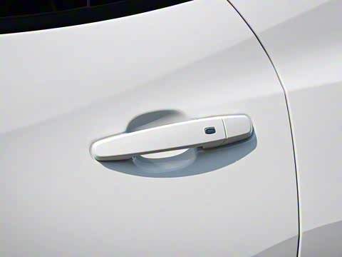 2020�� Redline 650T 7�� ����