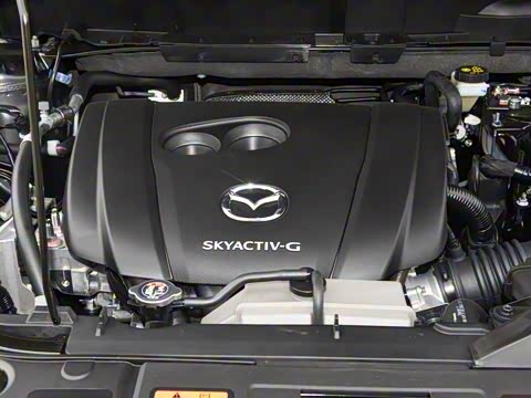 2025�� 2.0L �Զ���������Pro