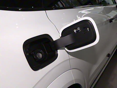 2025�� 2.0TD EM-P ����Max ����