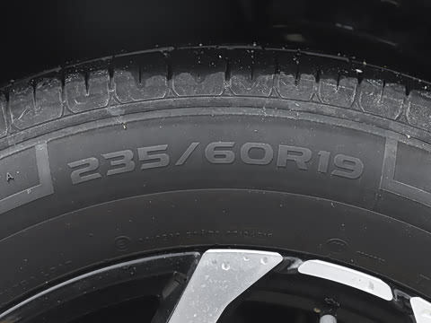 2025�� 226km ��Խ