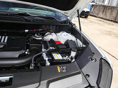 2025�� 2.0T �󶼻���