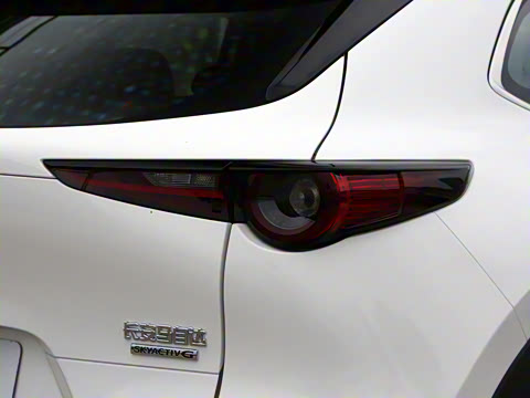 2021�� 2.0L �Զ�������