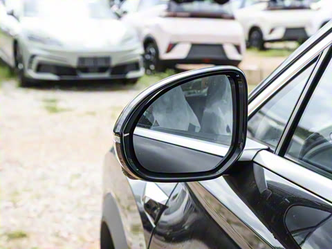 2025�� 135 �����ܼ����״��