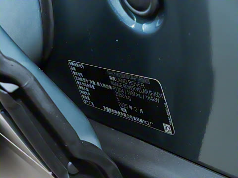 2026�� 250PS Dynamic SE