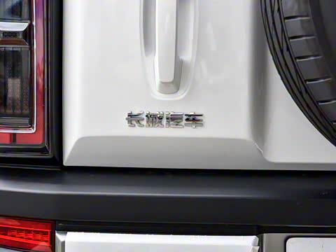 2025�� 2.0T 4WD Pro