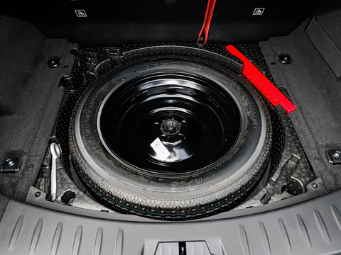 2024�� ��ȡ�˶��� R-DYNAMIC S