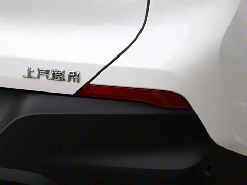 2021�� 325T �Զ����� ��VI