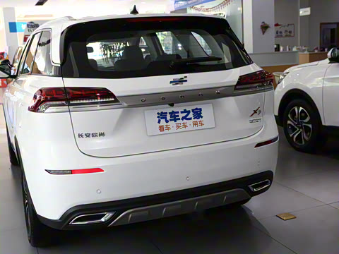 2021�� 1.5T �Զ�Geeker��