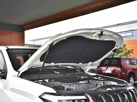 2023�� 4.6L V8 �캽��