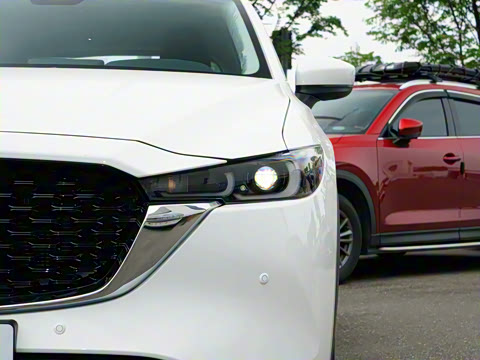 2025�� 2.0L �Զ���������Pro