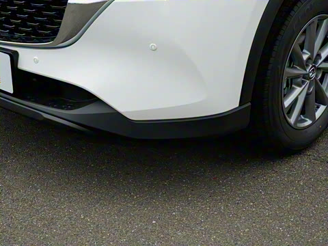 2025�� 2.0L �Զ���������Pro