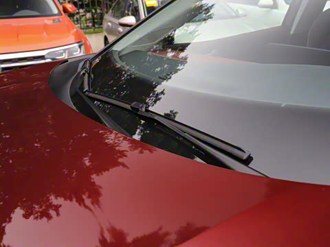 2021�� Pro ���ǳ�������