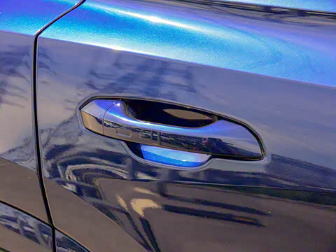 2021�� RS Q8 4.0T ������