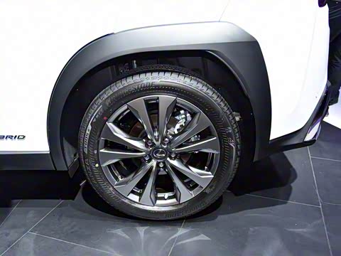 2019�� 260h F SPORT�� ��VI