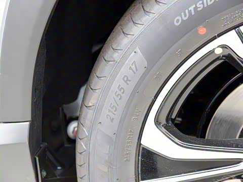 2020�� 520 ������