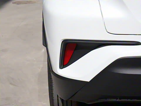 2021�� ˫�� 2.0L ������