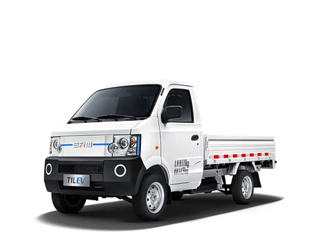 SRM��Դ����Դ ��ԴT1L EV