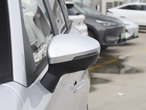 2025�� 305km ������