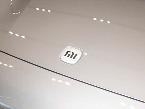 2025�� ������������������Max��