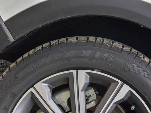 2025�� 120 �������������� 7�� �������