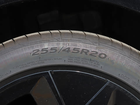 2025�� ������������ʿPRO��