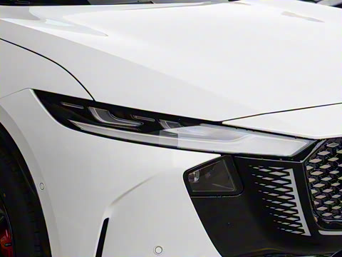 2025�� ����200�����˶���