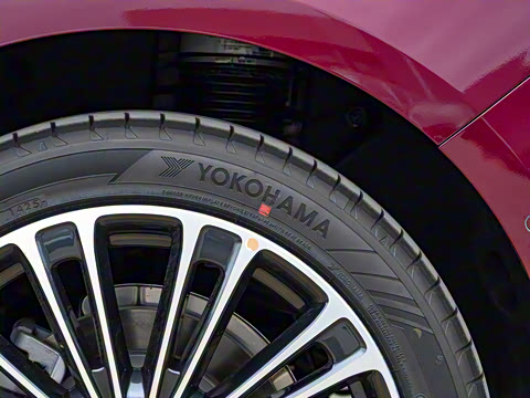 2025�� ���� Max