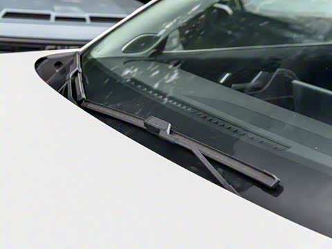 2025�� 120 �������������� 7�� �������