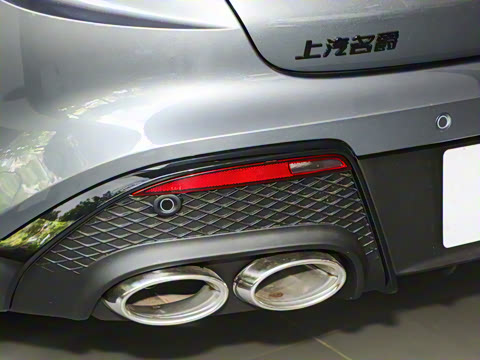 2025�� 1.5T 300 DCT������