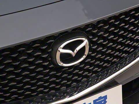 2020�� 2.0L �Զ�������