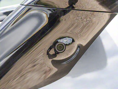 2025�� Max �����