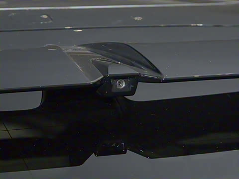 2025�� ������������������Max��